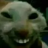 its_docc