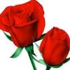 user1941426577874
