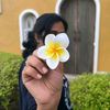somaiyasomaiya359
