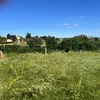 ena_verena_su