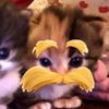 ilovemycat0_o6