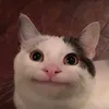 user9432118147045