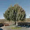 gastoncaberta