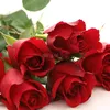 ..naser6