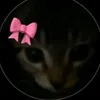 6_._karolis_._9
