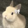 vannietnt
