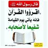 user4940166128321
