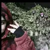 a_hhh313