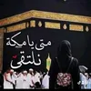 saef.f