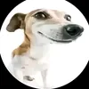 ...co_tam