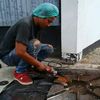 bagio0843