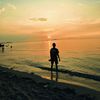 teripang_laut05