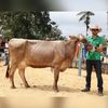 patricioalvear96