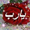 user2466038143905
