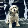 jclyde_27o
