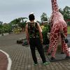danisetiawan___