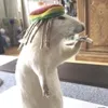 bredda_ratto67