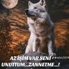 allahvargamyok320