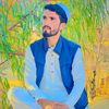 shabirkhan7824