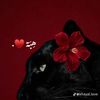 miss.hiba00