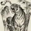 tigerred078