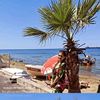 bahar_demir61