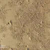 phongtrn003