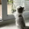 ndklcuto