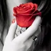 my_mimi_n11