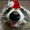 doggybelangel