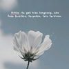 lilskie12