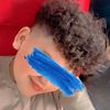lion.mer3