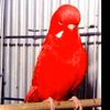 halimabdelhadi8