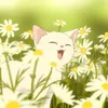 kyurikyun_wkanya