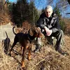 dobermanndeutschland