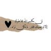 palestinian.266