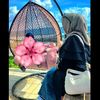 wilis_ajha