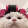 _imng.nagnie_3