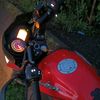 .davidtim
