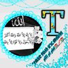 tslme63