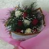 fatos_215