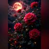 yoyo.diab.12