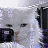 lylzediting