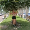 mariagorethdalmas5