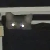 adou_capibara