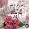 om.mohamed115