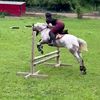 vinequestrian_