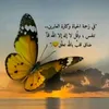 ammar.mohamad2