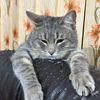 rustam_777.said