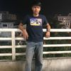 kankamol.bb